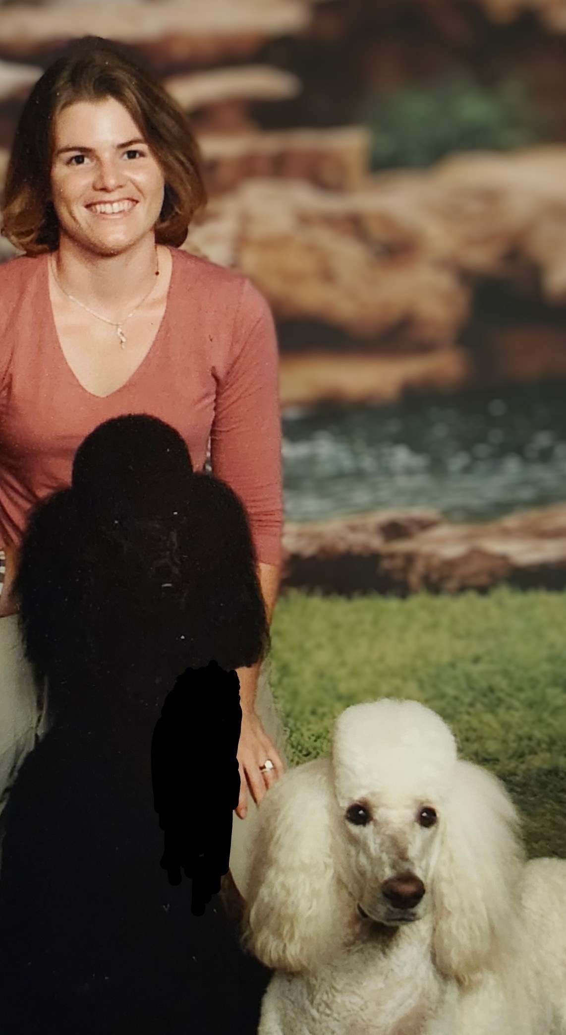 Dana - Professional Pet Stylist