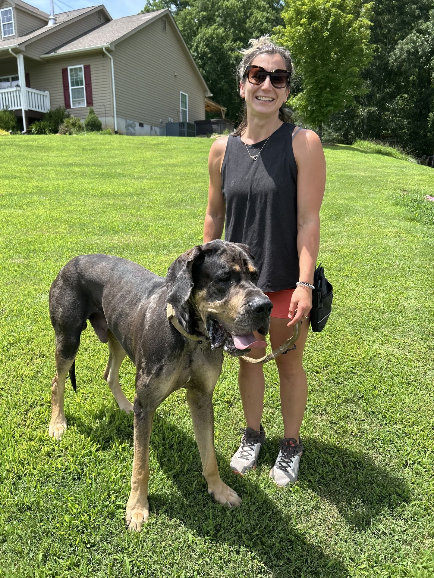 Davis Mullins certified dog trainer at Paws & Applause LLC Maryville TN with University of Tennessee degree