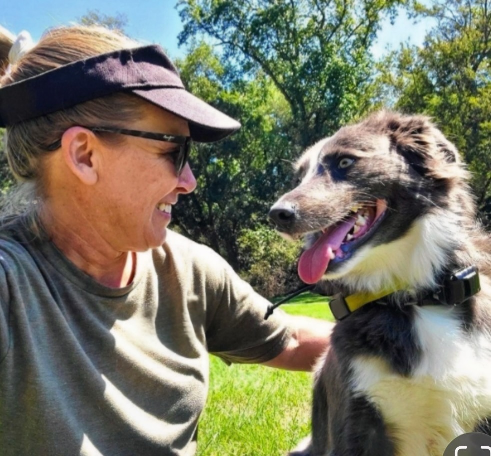 Lizzy professional dog trainer at Paws & Applause LLC Maryville TN with 6 years training experience