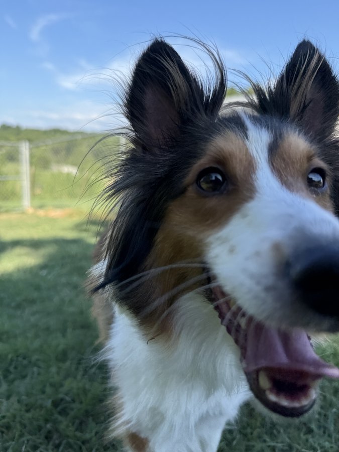 Comfortable boarding facilities